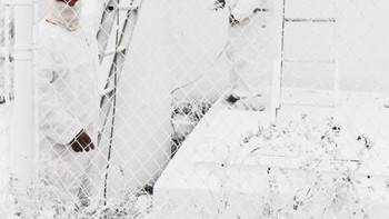 Oompa Loompa hasil jepretan Brooke Wilen dari Amerika Serikat menjuarai kategori People. Foto ini diambil menggunakan iPhone 6S. Foto: Brooke Wilen/iPhone Photography Awards 2024