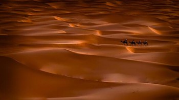 Sahara Surfing hasil jepretan Khalid Mahmood dari Swedia terpilih sebagai juara kategori Travel. Foto ini dipotret menggunakan iPhone 13 Pro. Foto: Khalid Mahmood/iPhone Photography Awards 2024