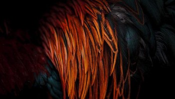 Pita Pinta karya Jose Manuel Garcia Gonzalez dari Spanyol didapuk sebagai pemenang kategori Abstract. Foto in diambil menggunakan iPhone 14 Pro Max. Foto: Jose Manuel Garcia Gonzalez/iPhone Photography Awards 2024