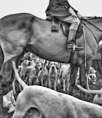 iPhone Photography Awards 2024