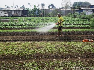 ATR/BPN Terjunkan Tim Khusus Urus Lahan buat Transmigran ke Sulteng