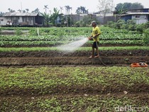 ATR/BPN Terjunkan Tim Khusus Urus Lahan buat Transmigran ke Sulteng