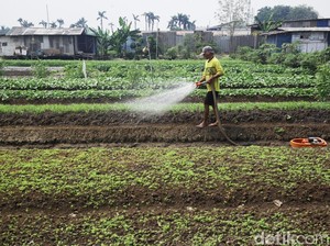 ATR/BPN Terjunkan Tim Khusus Urus Lahan buat Transmigran ke Sulteng
