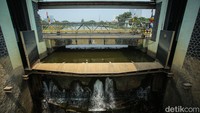 Bagaimana menurut detikers?