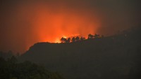 Dinas Pemadam Kebakaran Kabupaten Garut mencatat, kebakaran yang melanda sejak Senin (19/8/2024) petang membakar 16 hektare hutan.