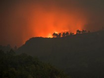 Penampakan Kebakaran Lahap Hutan di Gunung Guntur Garut