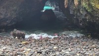 Goa Kelelawar
