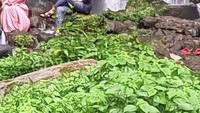 Berswafoto di Coban Kaca