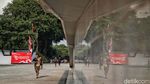 Upaya Menambah RTH di Jakarta