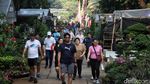 Upaya Menambah RTH di Jakarta