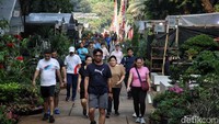 Distamhut DKI mengatakan sepanjang 2023 lalu, pihaknya telah membangun 23 RTH di Jakarta dengan luas total 6,7 hektare.  