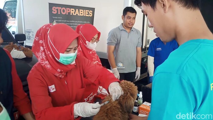 Vaksinasi hewan peliharaan di Purwakarta