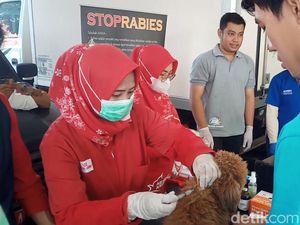 Upaya Melindungi Warga Purwakarta dari Penyakit Rabies