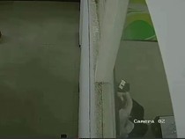 Viral Video Sejoli PNS Bermesraan di Jombang, Diduga Kadisdikbud dan Sekretaris