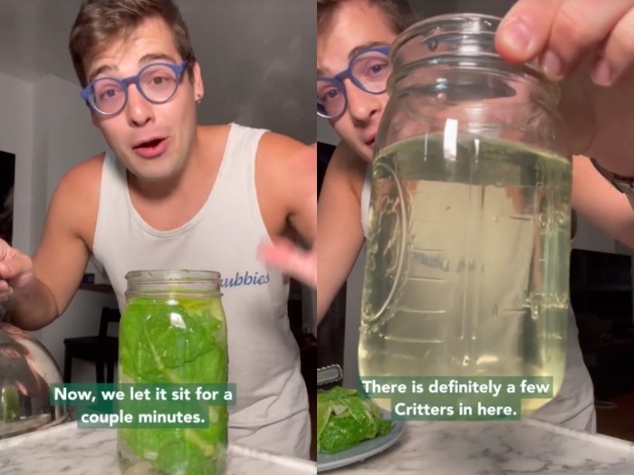 Tren TikTok minum air selada