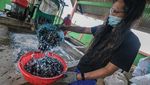 Begini Sampah Plastik Diolah buat Wujudkan Ekonomi Sirkular