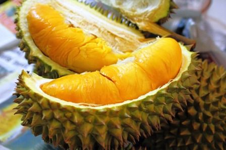 Mantap! Ini 5 Durian Unggulan Asli Sumatera yang Legit Harum