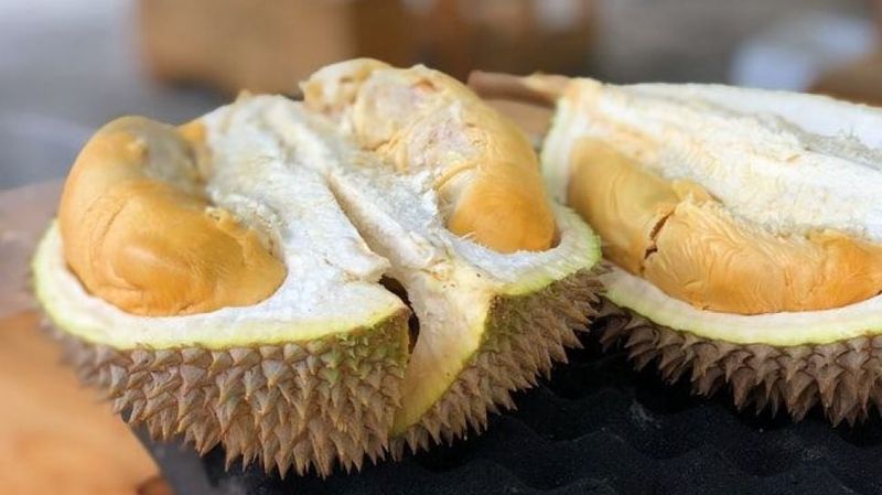 Mantap! Ini 5 Durian Unggulan Asli Sumatera yang Legit Harum