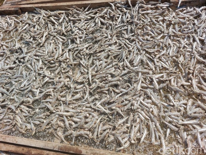 Ikan asin cirebon.