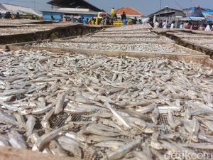 7 Manfaat Ikan Asin untuk Kesehatan Tubuh dan Cara Mengolahnya