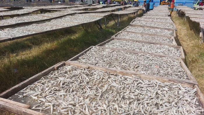 Ikan asin cirebon. Ikan asin cirebon.
