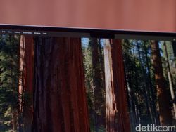 Wujud MacBook Air M3 15 Inch Cocok Untuk Sekolah, Kuliah dan Kerja