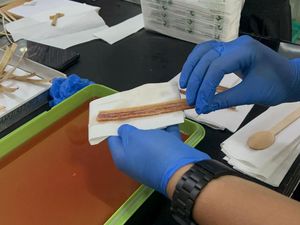 Mahasiswa Malang Teliti Pelepah Pisang Raja untuk Pembalut Organik