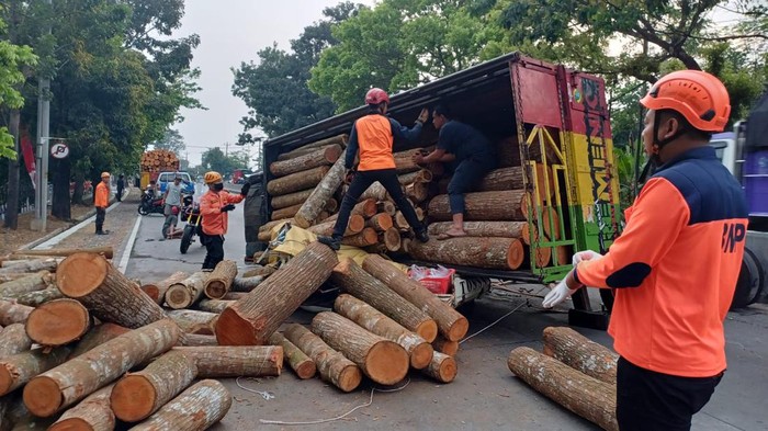 Pasangan suami istri (pasutri) yang tengah menaiki motor roda tiga tewas tertimpa truk bermuatan kayu yang terguling di Semarang, Kamis (22/8/2024).
