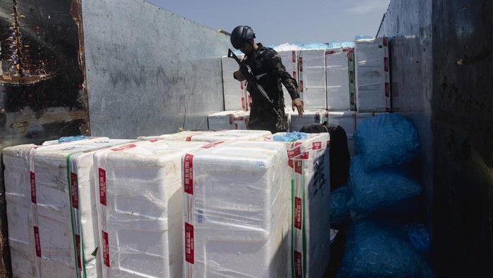 Penyenlundupan 795 Ribu Benih Lobster di Kepri Berhasil Digagalkan Personel Direktorat Jenderal Pengawasan Sumber Daya Kelautan dan Perikanan (PSDKP) mengamankan barang bukti saat konferensi pers pengungkapan kasus penyelundupan benih lobster di Batam , Kepulauan Riau, Kamis (22/8/2024). Patroli gabungan pengawasan laut Kementerian Kelautan dan Perikanan bersama Direktorat Jenderal Bea dan Cukai berhasil menggagalkan upaya penyelundupan 795 ribu ekor benih lobster senilai Rp90 miliar di Pulau Panjang, Karimun, Kepulauan Riau. ANTARA FOTO/Teguh Prihatna/wpa.