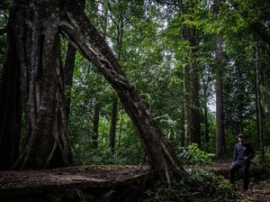 Soal Rencana Pembukaan Lahan 20 Juta Hektar, Ini Saran Pakar UGM