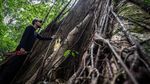 Pesona Hutan Hujan Tropis di Geopark Meratus Kalimantan Selatan