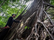 Resmi! Geopark Meratus Masuk Daftar UNESCO Global Geoparks