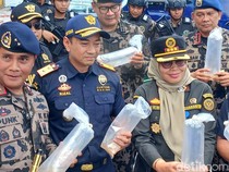 Penyelundupan Benih Lobster Senilai Rp 90 M Digagalkan, Pelaku Lompat ke Laut