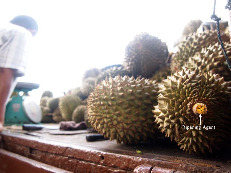 Tips memilih durian Monthong dari Thailand