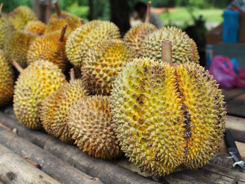 Tips memilih durian Monthong dari Thailand