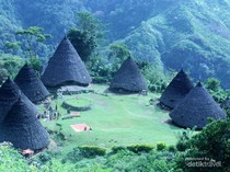 Rekomendasi 6 Tempat Wisata di Labuan Bajo