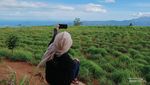 Glamping di Bukit Cendana-Trail ke Puncak Naga