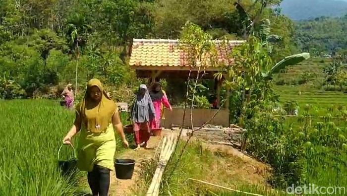 Warga di Kampung Leles Girang Desa Kurniabakti Kecamatan Ciawi mulai mengalami krisis air bersih.