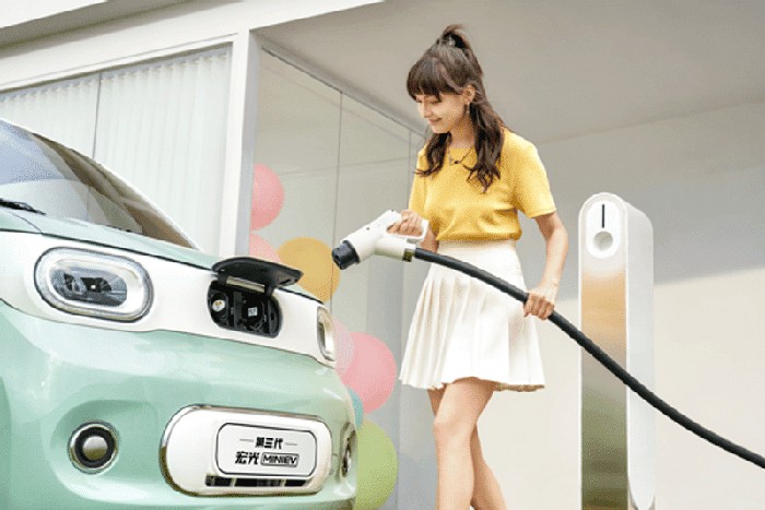 Wuling Hongguang Mini EV Youth Edition.