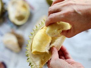 Bikin Kaget! 5 Durian Termahal Ini Harganya Ratusan Juta Rupiah