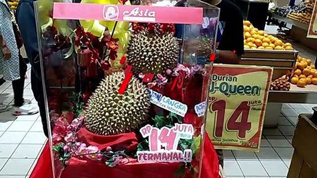Bikin Kaget! 5 Durian Termahal Ini Harganya Ratusan Juta Rupiah