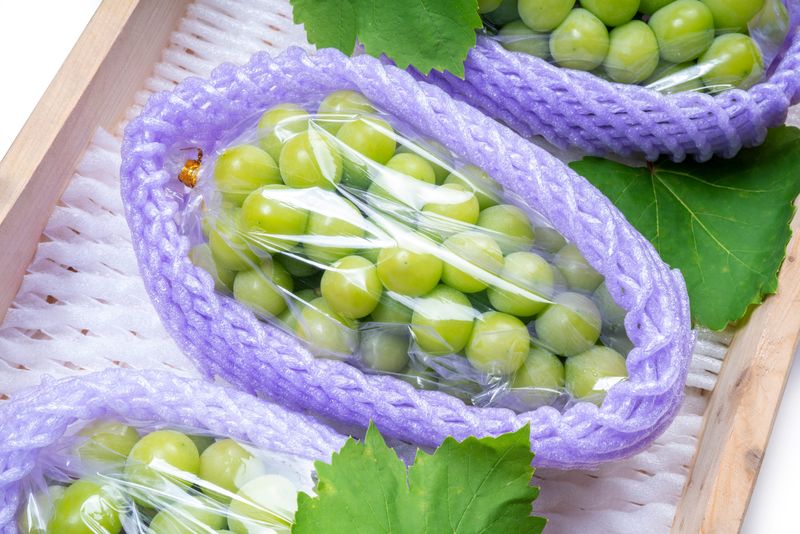 Buah Jepang