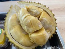 Seru! Ada All You Can Eat Durian di Mal Kota Kasablanka