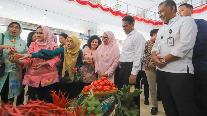Iriana Jokowi