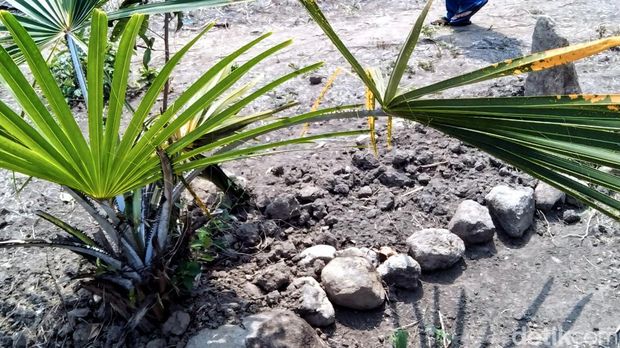 Makam keramat palsu di Sukabumi.
