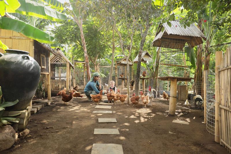 Mini farm yang berbentuk seperti peternakan tradisional Indonesia.