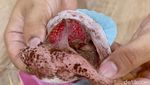 Viral! Mochi 29 Varian Rasa di Kalibata Harganya Rp 5 Ribu