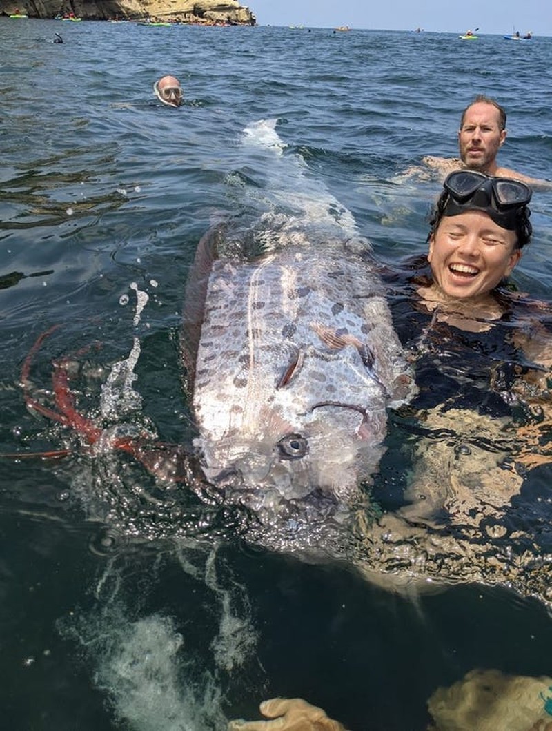 Oarfish ikan kiamat