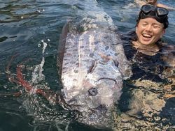 Heboh Penampakan Oarfish, Ikan Hari Kiamat