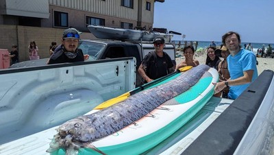 Heboh Penampakan Oarfish, Ikan Hari Kiamat